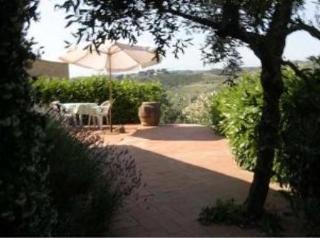 Agriturismo Bio Fattoria Bacio Certaldo Exterior foto